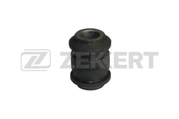 Mounting, control/trailing arm (GM-5551)