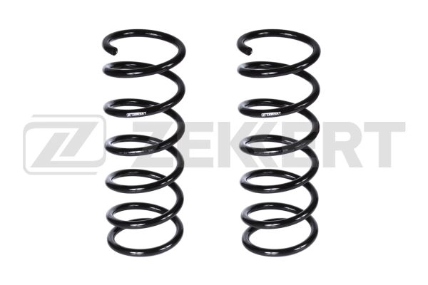 Suspension Spring (SF-2879)