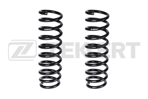 Suspension Spring (SF-2221)