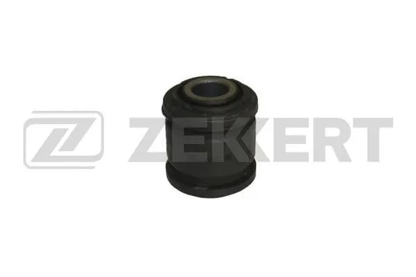 Mounting, control/trailing arm (GM-5923)