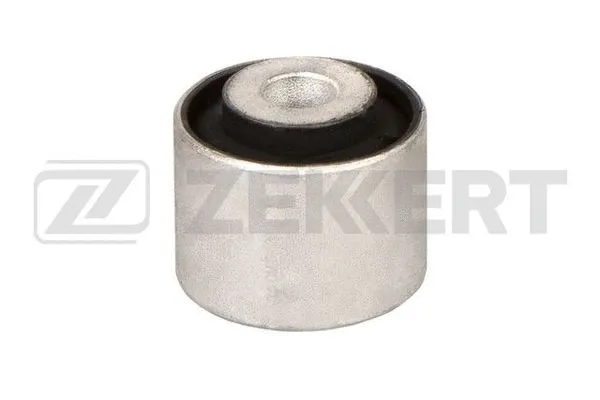 Mounting, control/trailing arm (GM-6852)