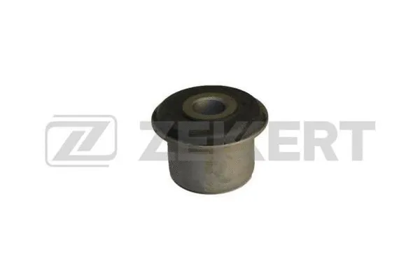 Mounting, control/trailing arm (GM-5198)