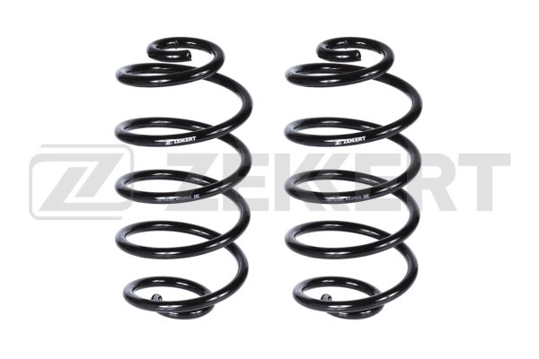 Suspension Spring (SF-2139)