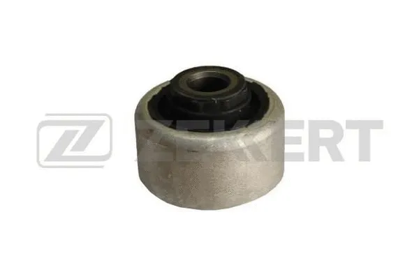 Mounting, control/trailing arm (GM-5174)