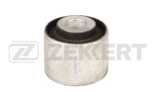 Mounting, control/trailing arm (GM-6854)