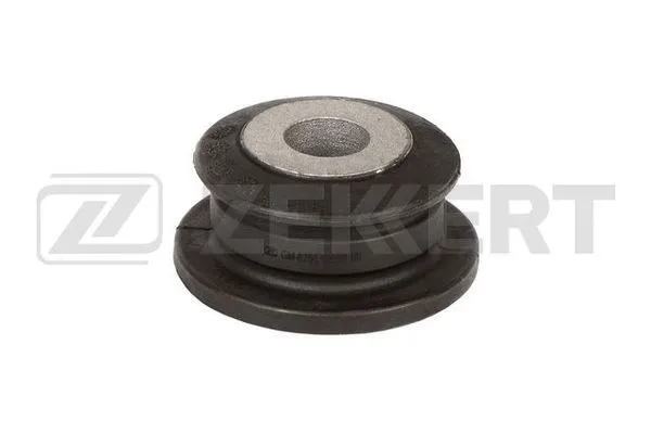 Mounting, control/trailing arm (GM-6764)
