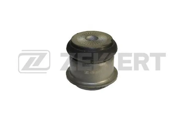 Bushing, axle beam (GM-5013)