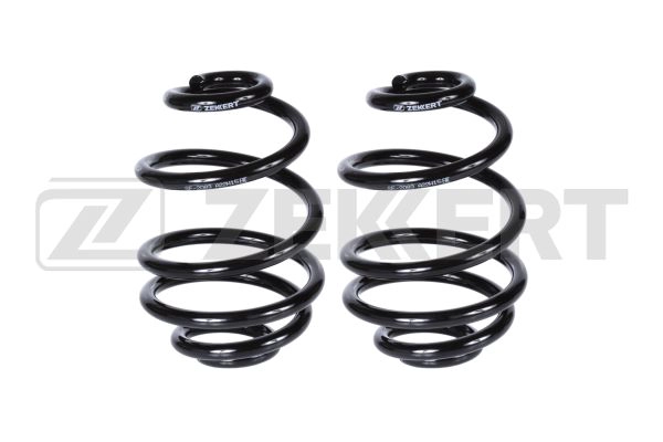 Suspension Spring (SF-2083)
