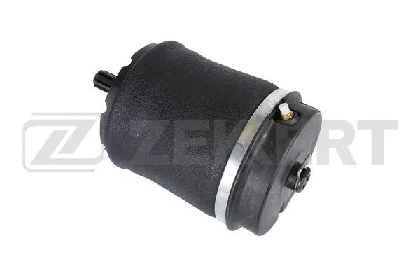 Air Spring, suspension (LD-1377)