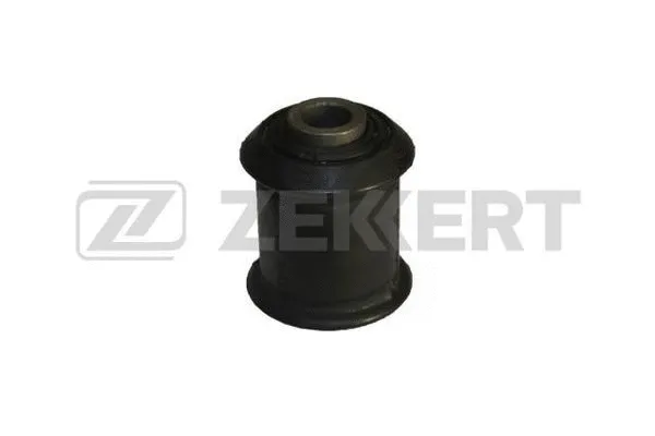 Mounting, control/trailing arm (GM-5082)