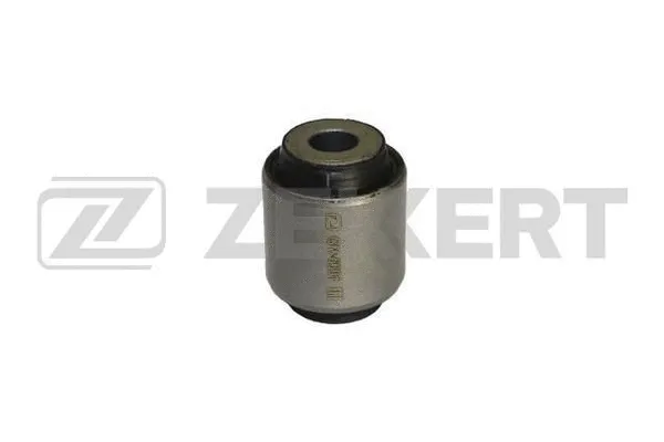 Mounting, control/trailing arm (GM-5601)