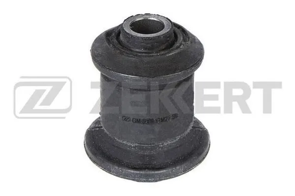 Mounting, control/trailing arm (GM-5069)