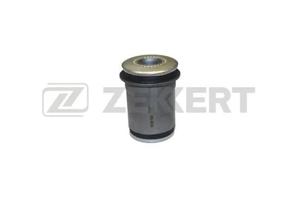 Mounting, control/trailing arm (GM-6014)