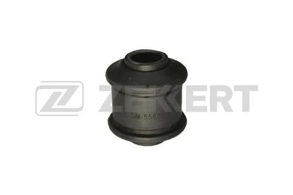Mounting, control/trailing arm (GM-5588)