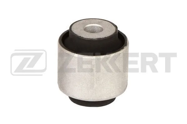 Mounting, control/trailing arm (GM-6871)