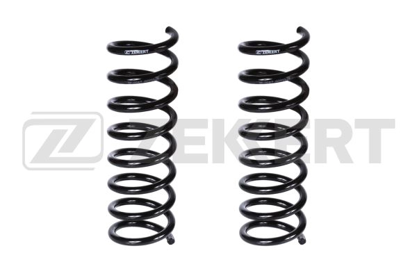 Suspension Spring (SF-2247)