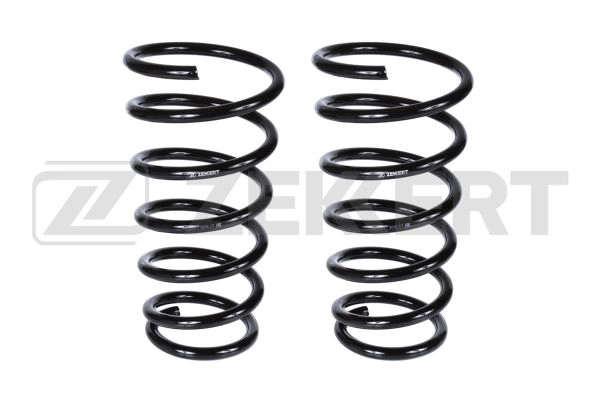 Suspension Spring (SF-2227)