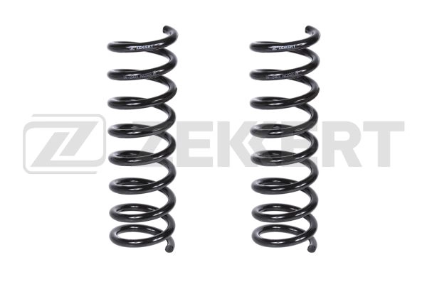 Suspension Spring (SF-2903)