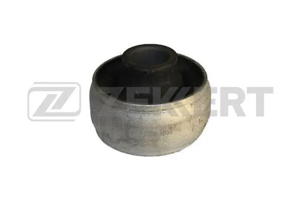 Mounting, control/trailing arm (GM-5034)