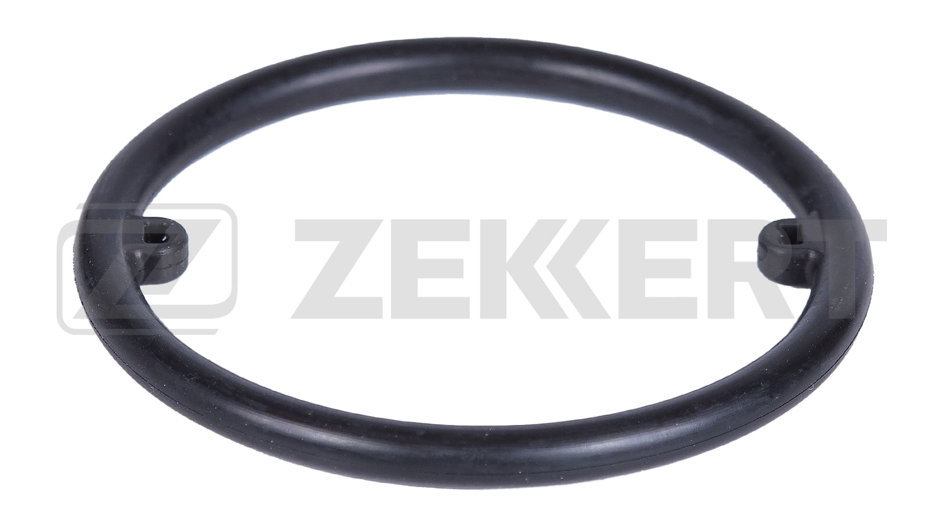 Seal Ring, injector (DI-3003)