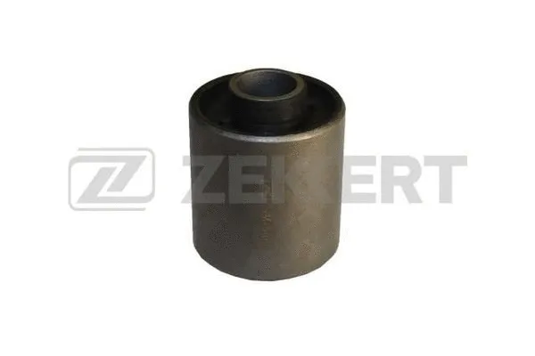 Mounting, control/trailing arm (GM-5668)