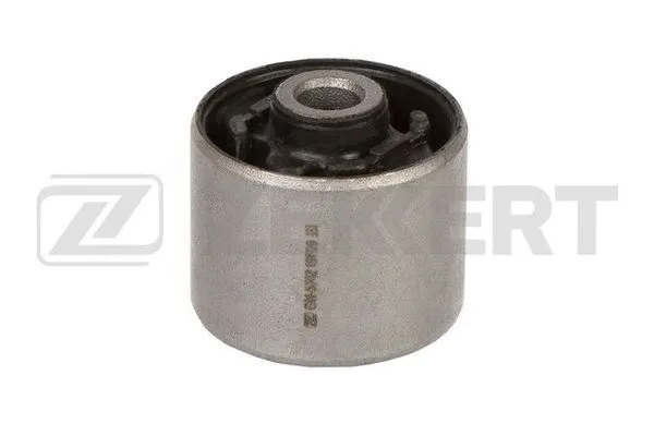 Mounting, control/trailing arm (GM-5742)