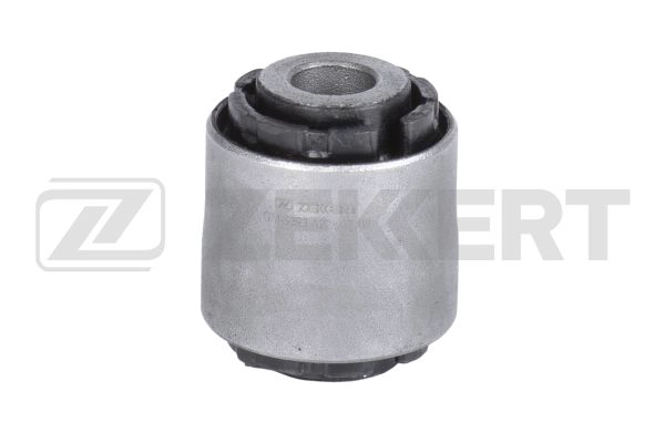 Mounting, control/trailing arm (GM-5393)