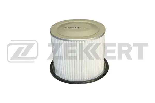 Air Filter (LF-1365)
