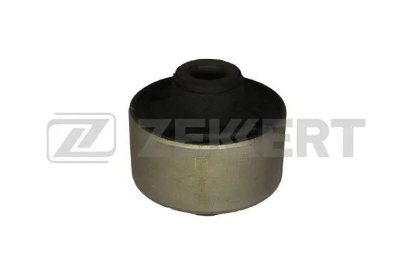 Mounting, control/trailing arm (GM-5350)