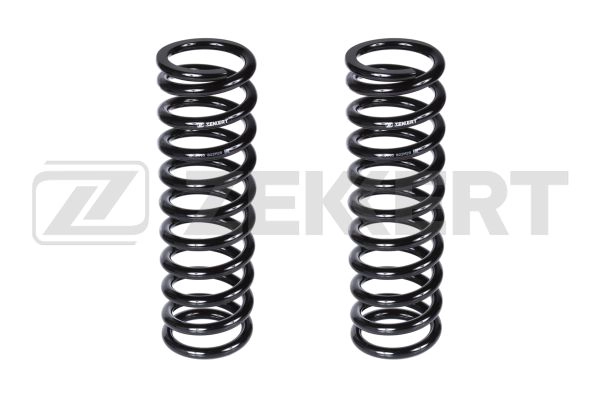Suspension Spring (SF-2110)