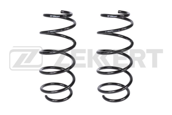 Suspension Spring (SF-2008)