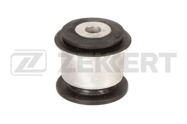 Mounting, control/trailing arm (GM-6693)