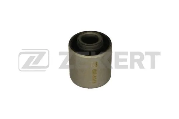 Mounting, control/trailing arm (GM-6016)