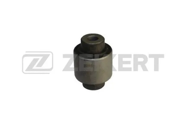 Mounting, control/trailing arm (GM-5466)
