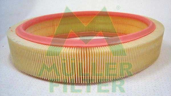 Air Filter (PA365)