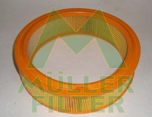 Air Filter (PA237)