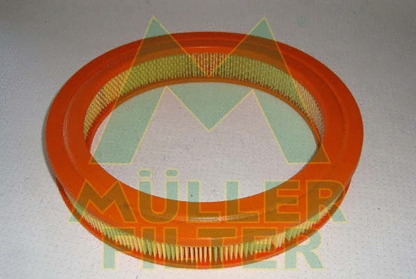 Air Filter (PA254)