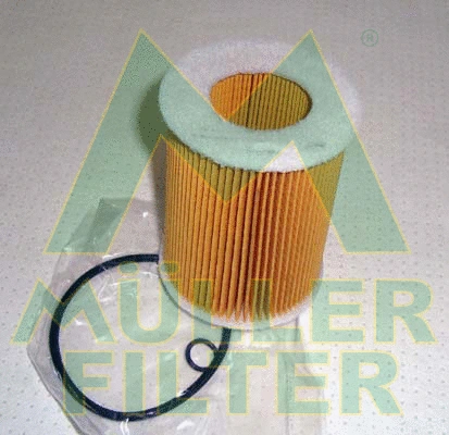 Oil Filter (FOP355)