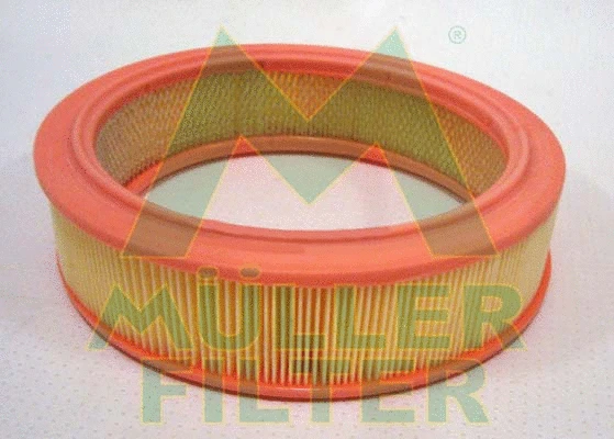 Air Filter (PA660)