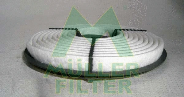 Air Filter (PA3300)
