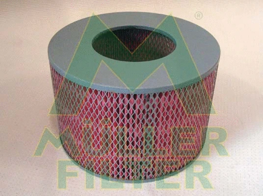 Air Filter (PA436)