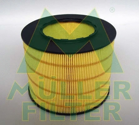 Air Filter (PA3150)