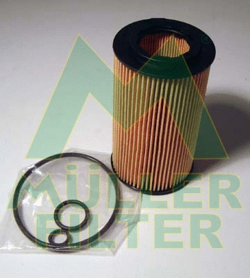 Oil Filter (FOP212)