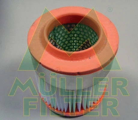 Air Filter (PA3187)