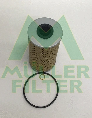 Oil Filter (FOP295)