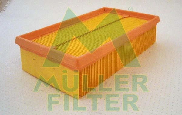 Air Filter (PA3111)