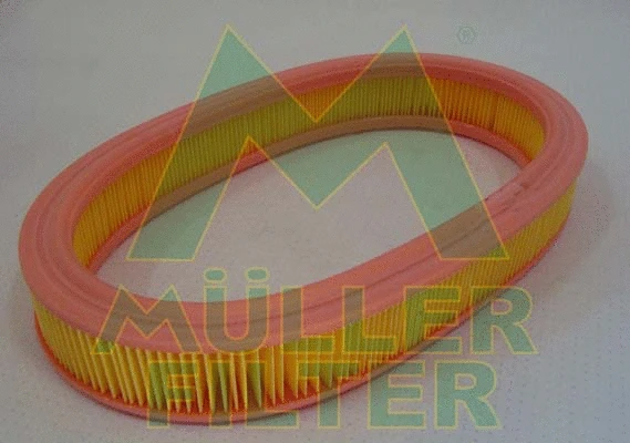 Air Filter (PA323)