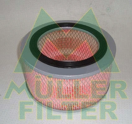 Air Filter (PA165)