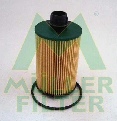 Oil Filter (FOP300)