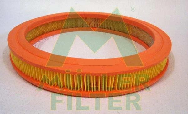 Air Filter (PA669)